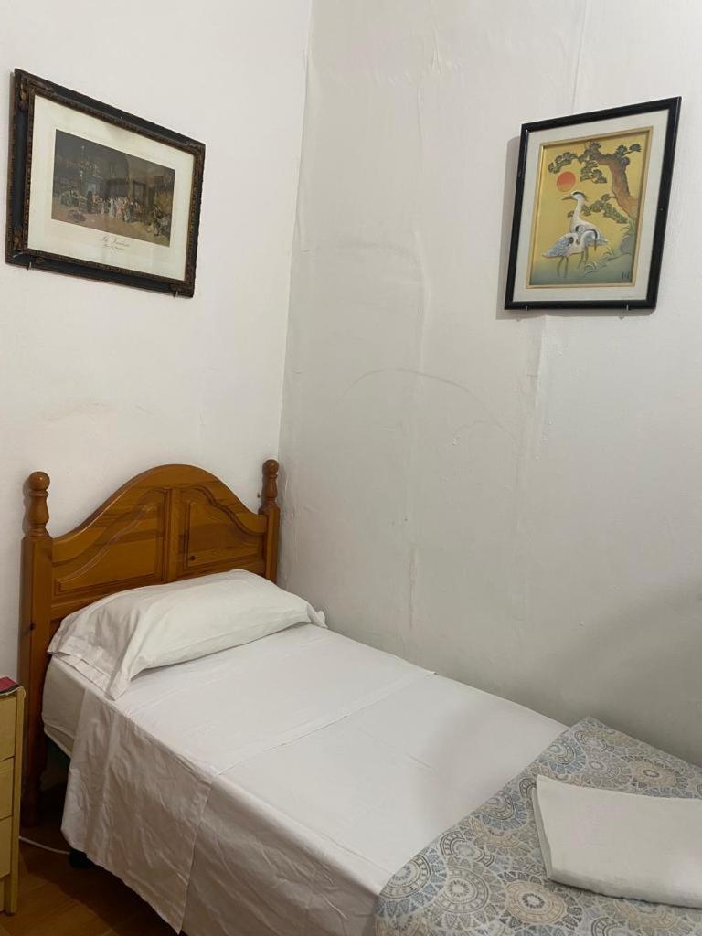 Single Room with Shared Shower and Toilet,1549076002:JPEG