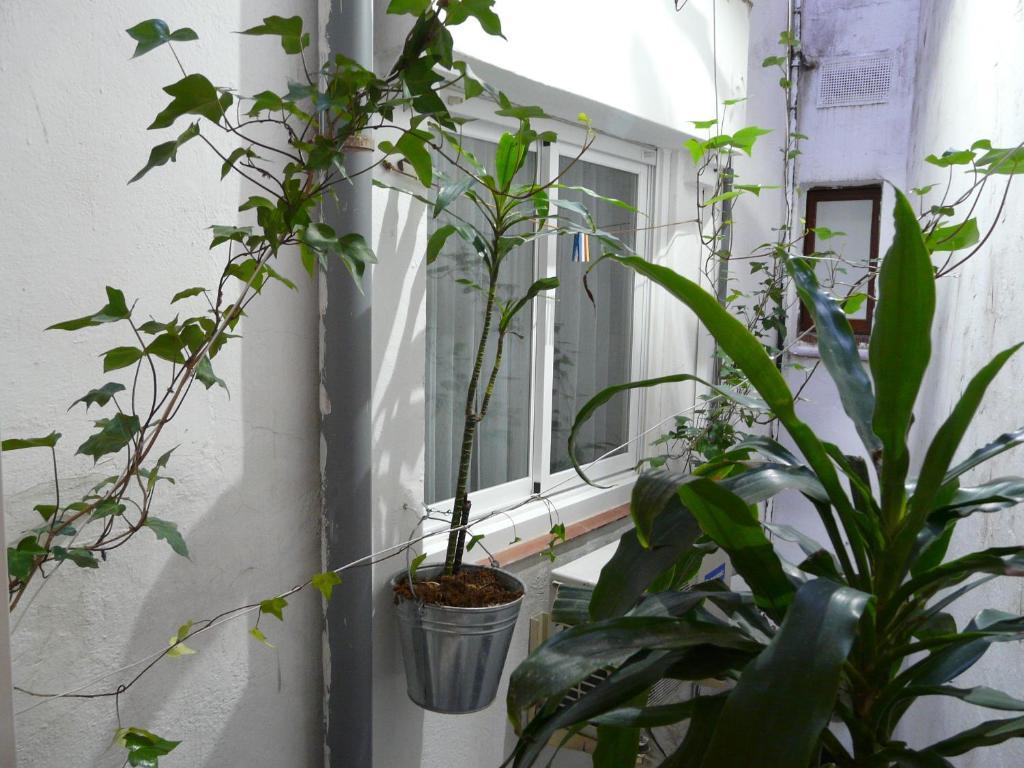 Economy Double or Twin Room,1340789870:JPEG