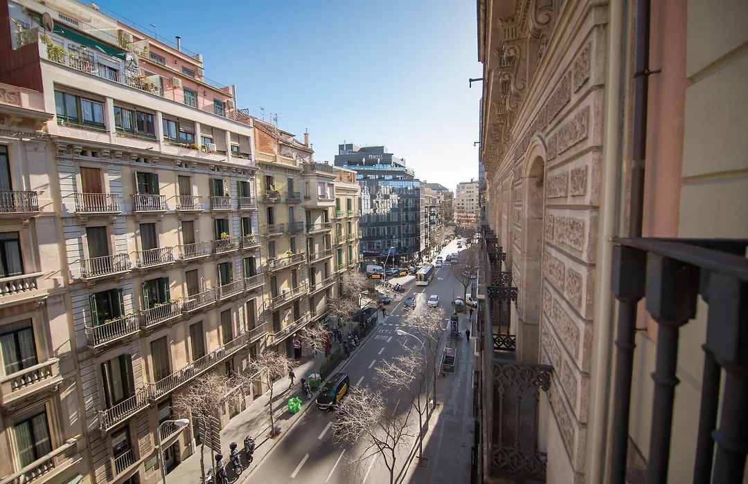 Icon Bcn-1
