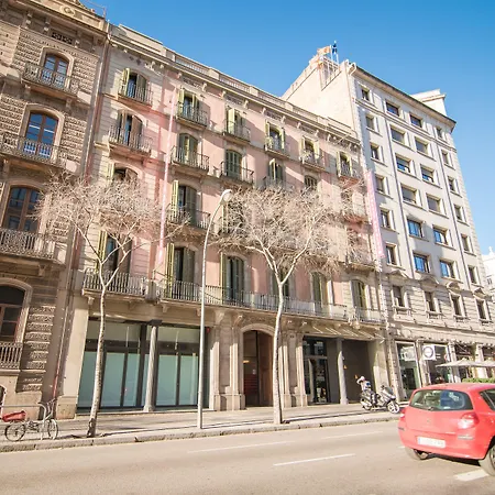 Icon Bcn-3