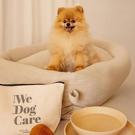 Fairmont Barcelona Rey Juan Carlos I-3