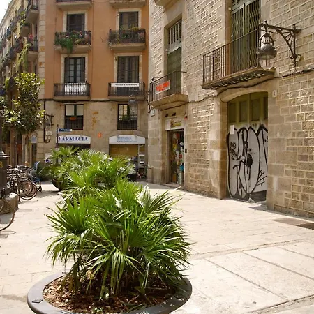 Hostal Nitzs Bcn-2