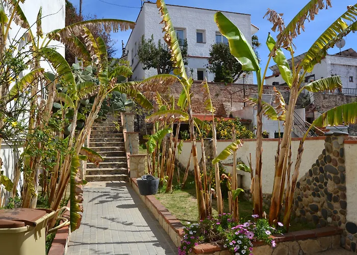 Hostal Casa Torrent Canet De Mar